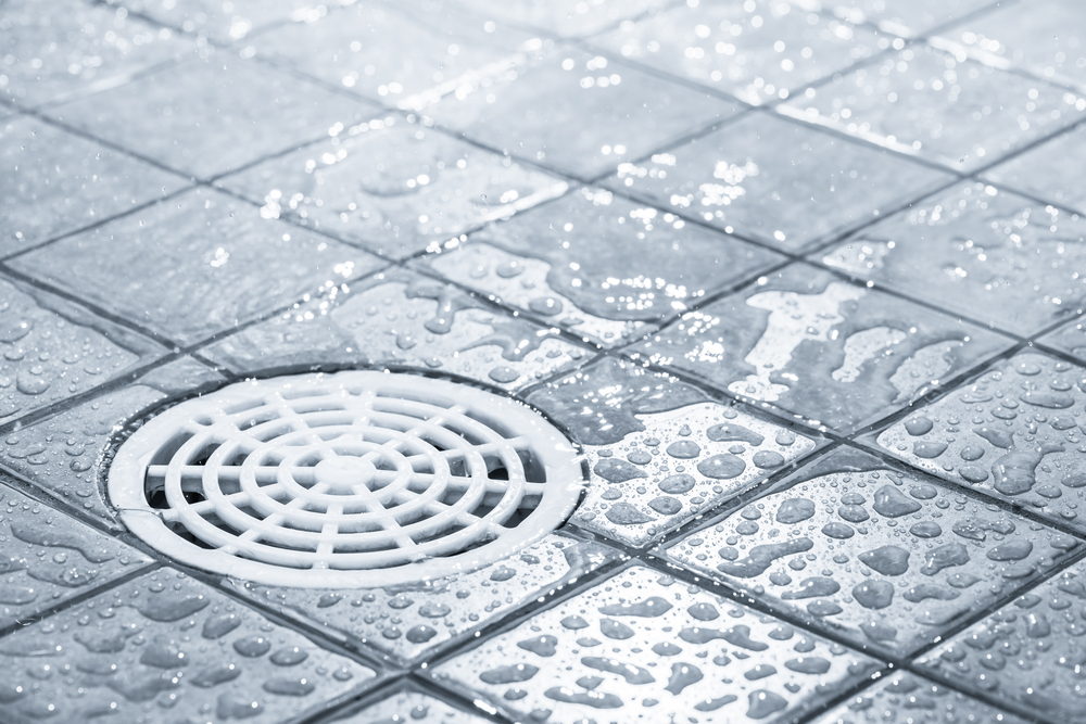Clear It Out With Drain Cleaning In Bothell