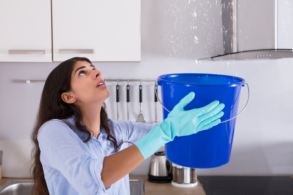 If You Need Water Leak Detection & Repair Service For Your Arlington Home, Call Us First!