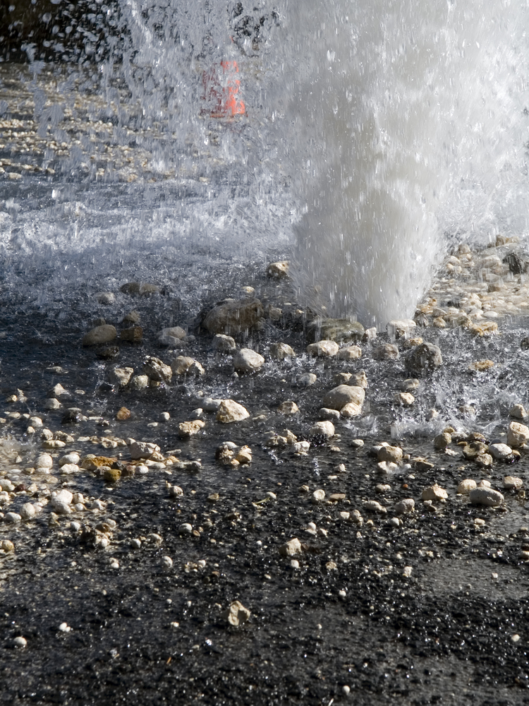 If You Need Your Water Main Line In Index Repaired Or Replaced, Call Our Team!